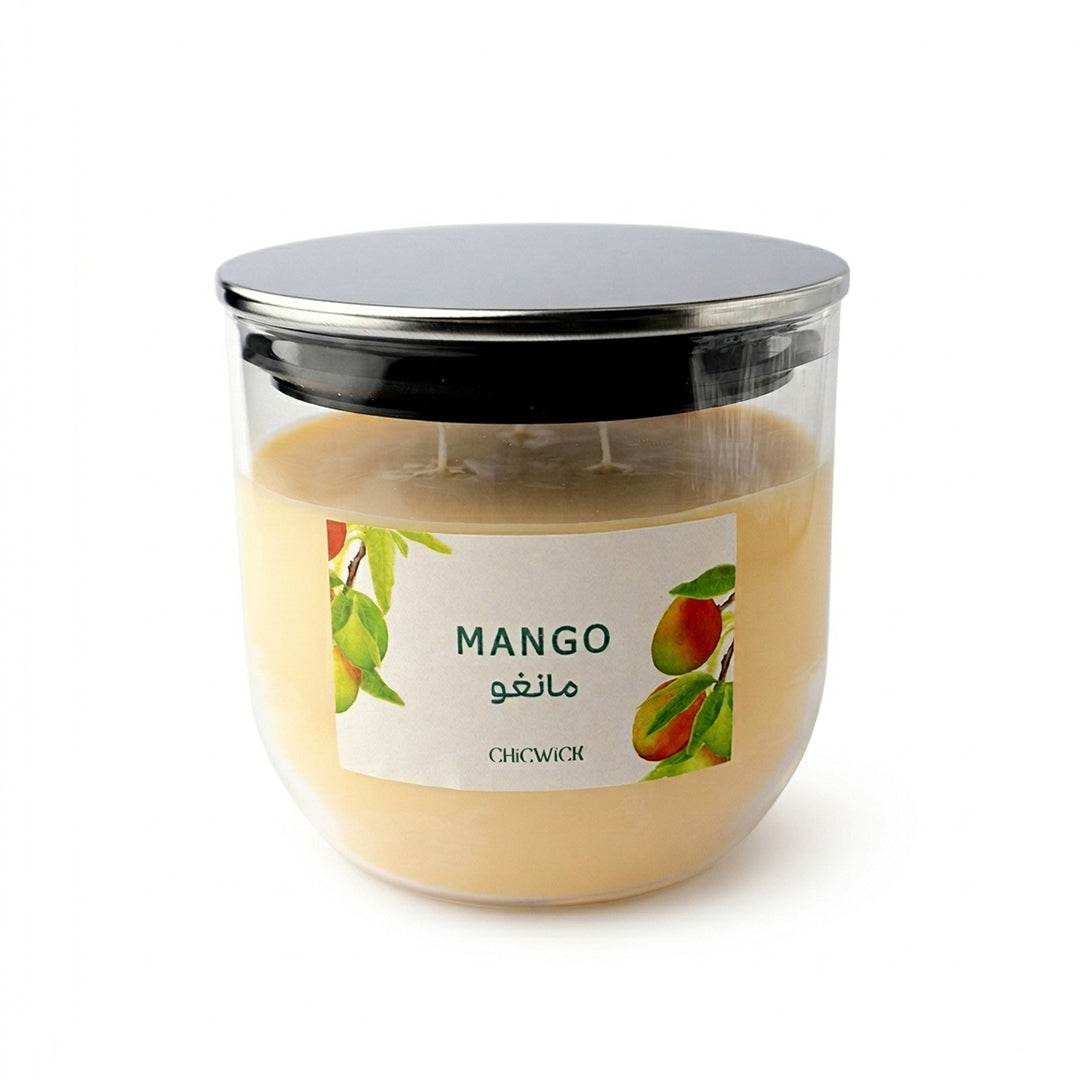 Mango XL مانجو