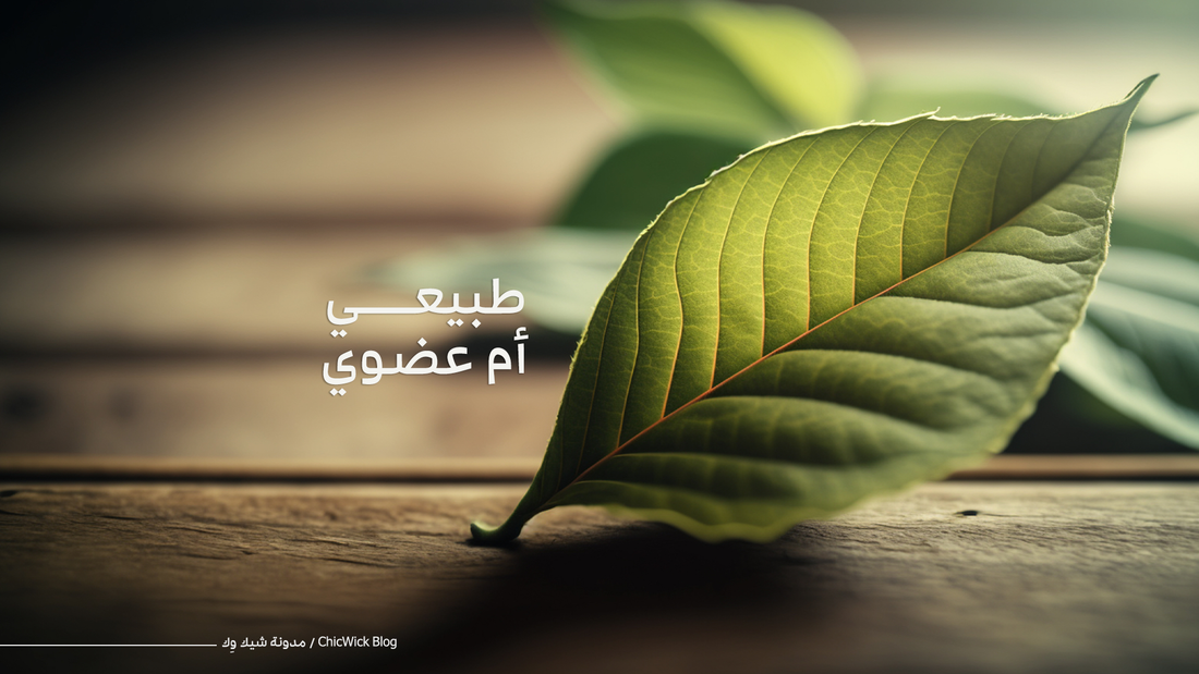 هل الشّمعة الطبيعية نفس العضويّة؟ تعرّفوا على الفرق