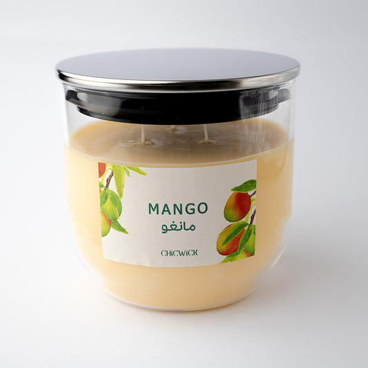 Mango XL مانجو