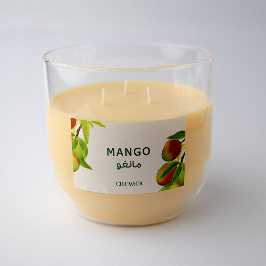 Mango XL مانجو